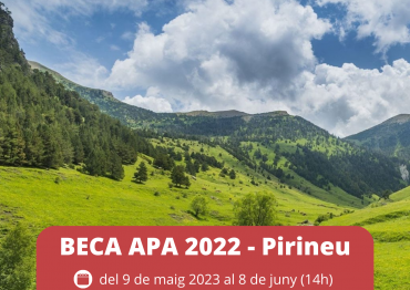 Beca APA (Pirineu)