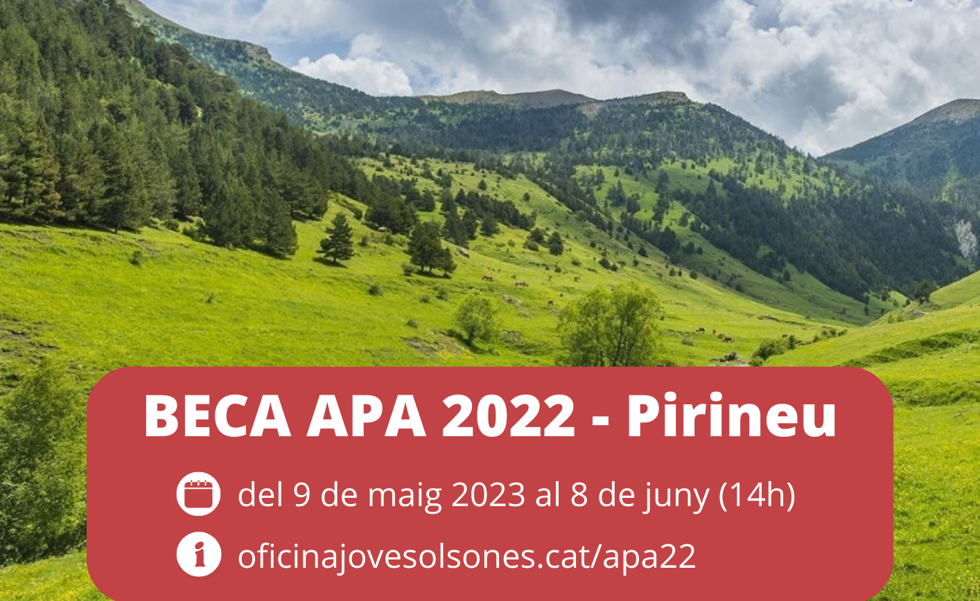 Beca “Pirineu”: Ajuts per a l’estudiantat universitari de les comarques de l’Alt Pirineu, la Vall d’Aran i el Solsonès (APA 2022)